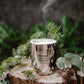 NORDIC SPRUCE