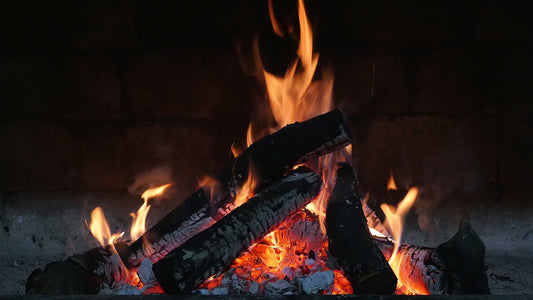 CEDAR EMBERS